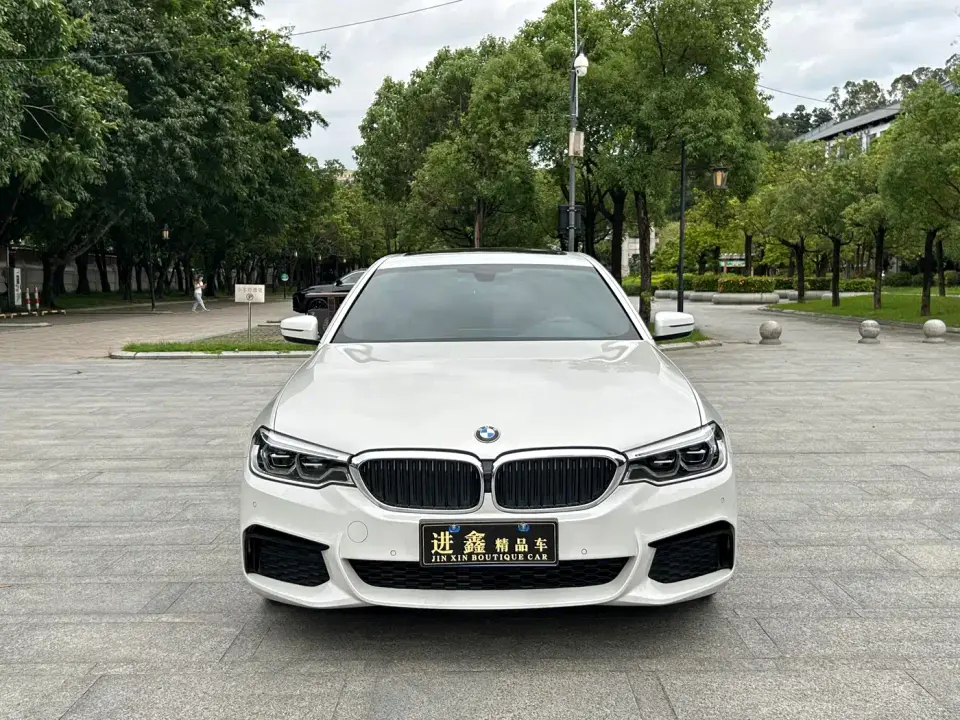 BMW 5 Series 530Li Leading M Sport Package 2020