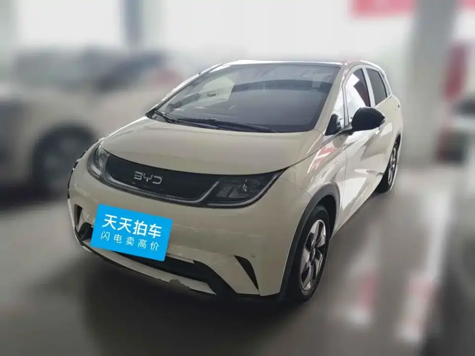 BYD Dolphin 420km Fashion Edition 2024