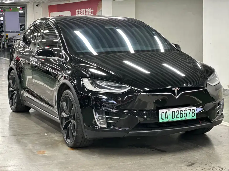 Tesla Model X Model X 100D Long Range 2019