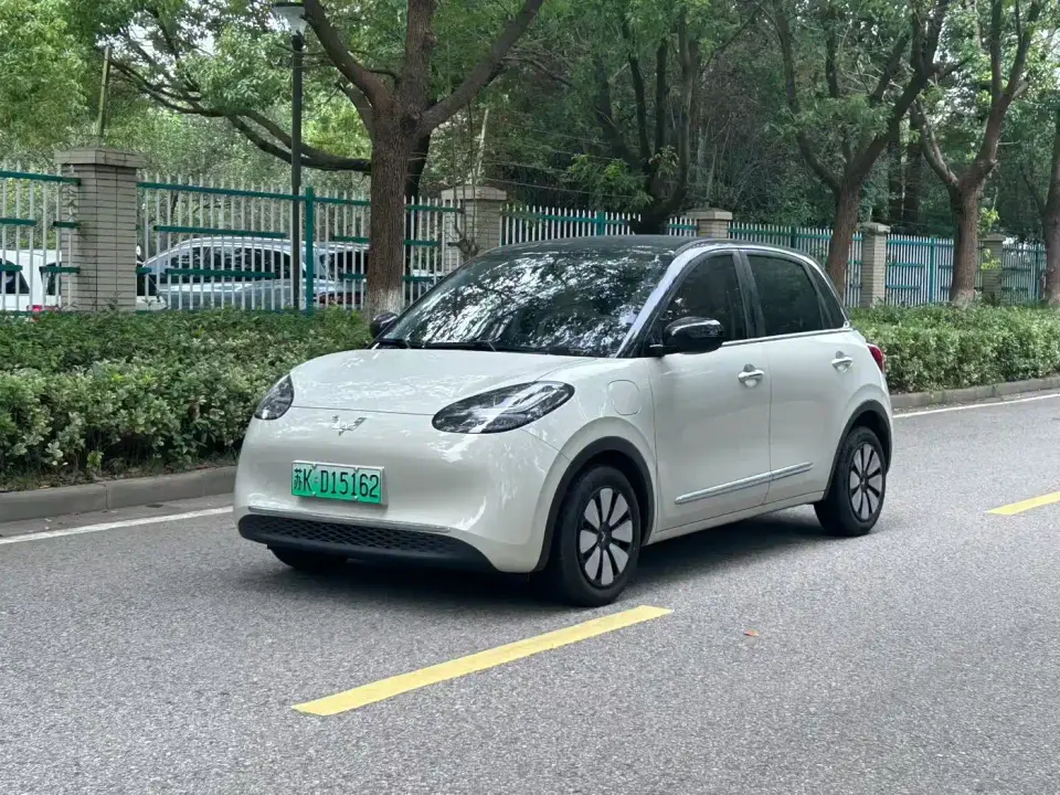 Wuling Motors Wuling Bingo 333km Smart Connect Edition 2024