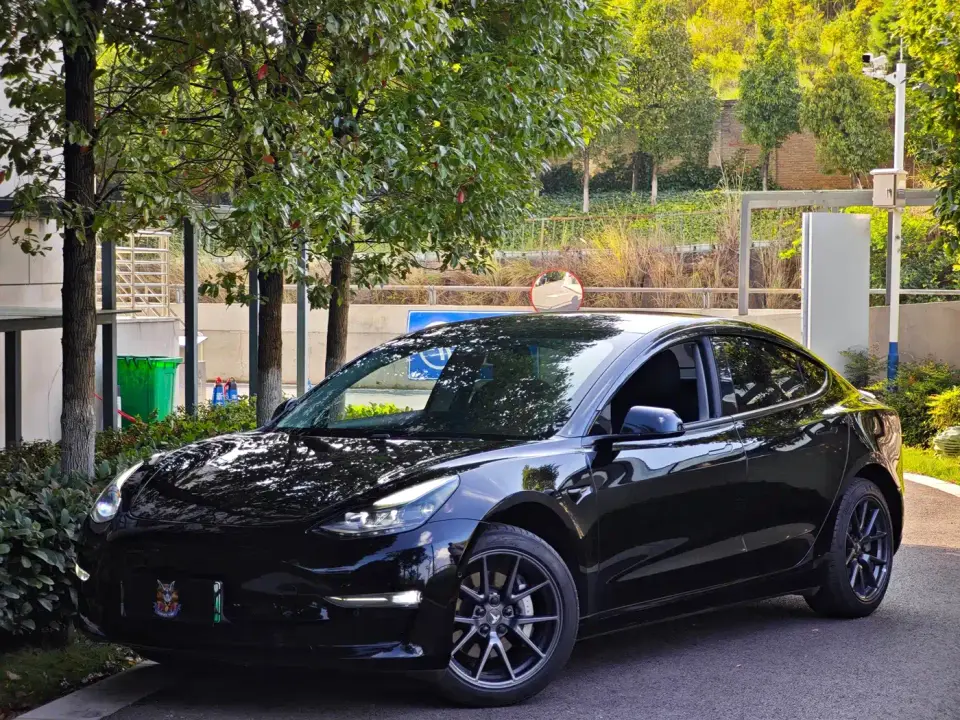 Tesla Model 3 Standard Range Rear-Wheel Drive Upgrade 3D6 2021