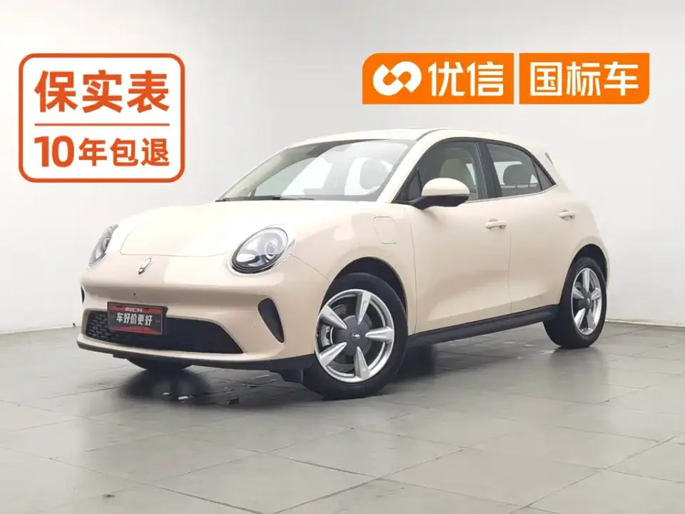 ORA Good Cat Model 430km Luxury 2025