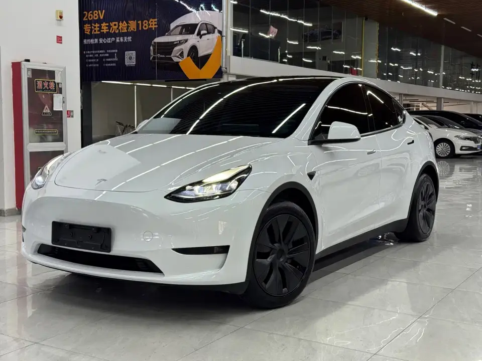 Tesla Model Y Rear-Wheel Drive Version 2024