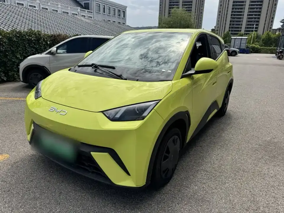 BYD Seagull Glory Edition 305km Vitality Edition 2024