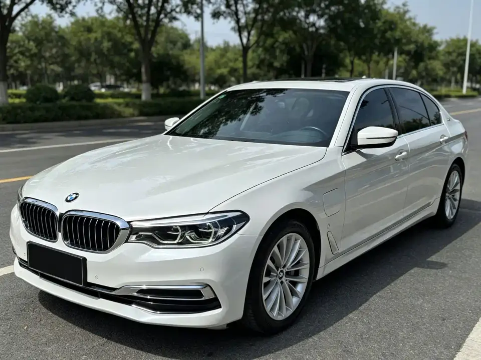 BMW 5 Series New Energy Facelift 530Le Luxury Package 2019