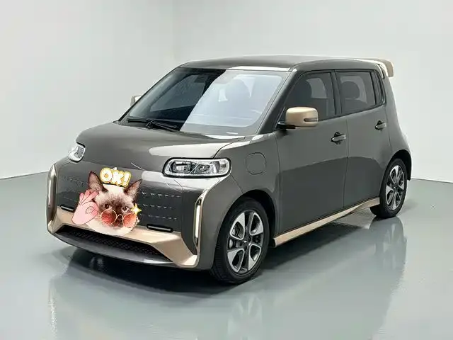ORA White Cat Wildcat Edition 360km Luxury (NMC) 2022