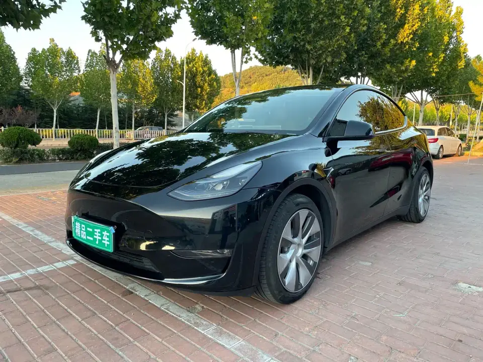Tesla Model Y Standard Range Rear-Wheel Drive 2021
