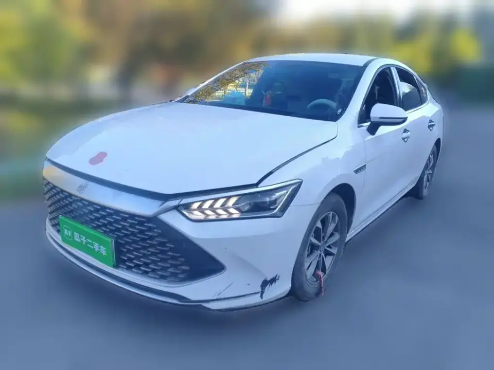 BYD Qin PLUS Glory Edition DM-i 55KM Leading 2024