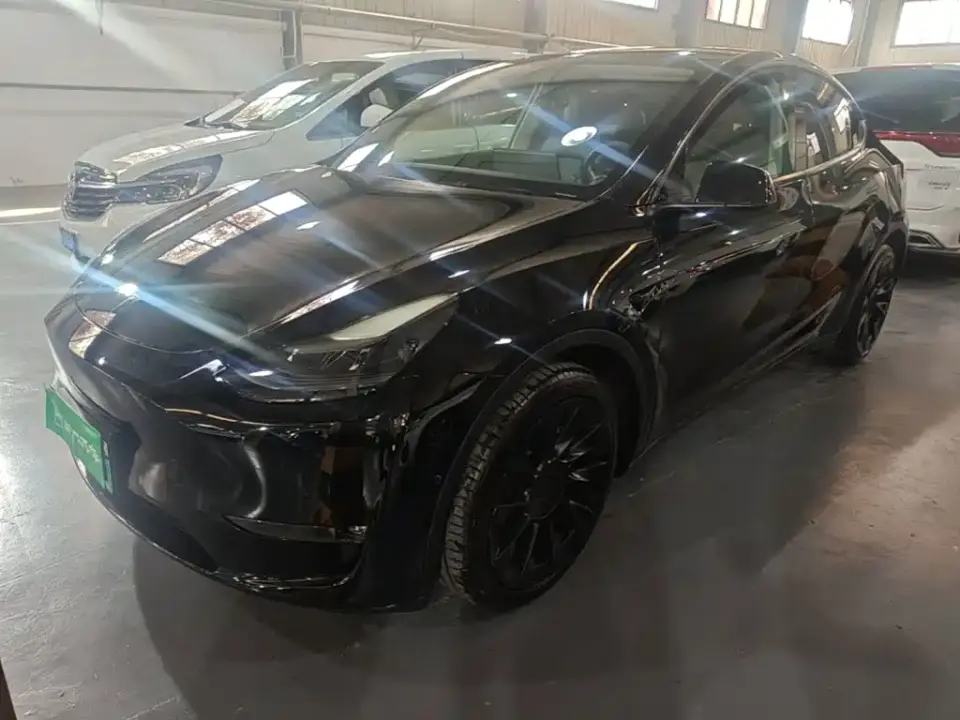 Tesla Model Y Standard Range Rear-Wheel Drive 2021
