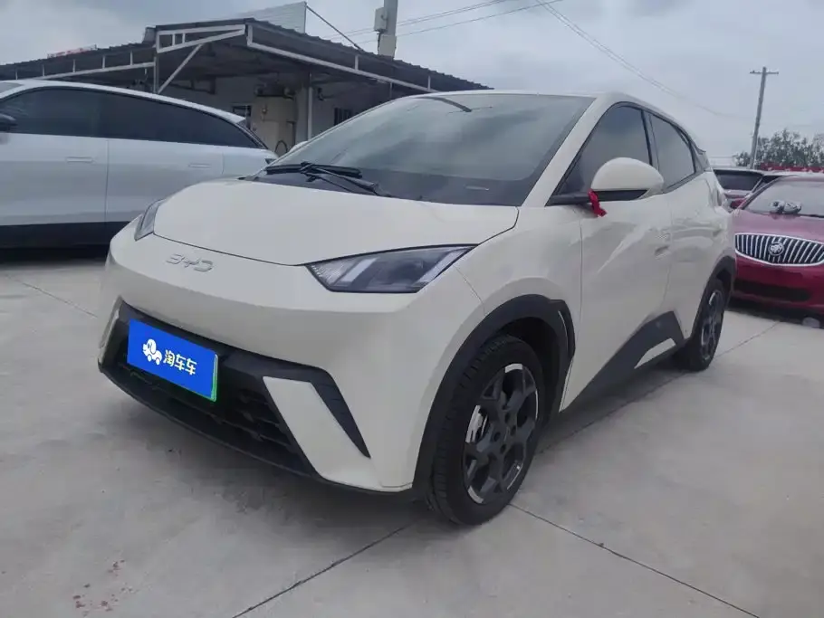 BYD Seagull Glory Edition 405km Soaring Edition 2024