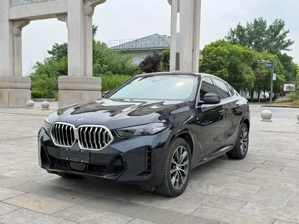 BMW X6 xDrive30i M Sport Package 2024