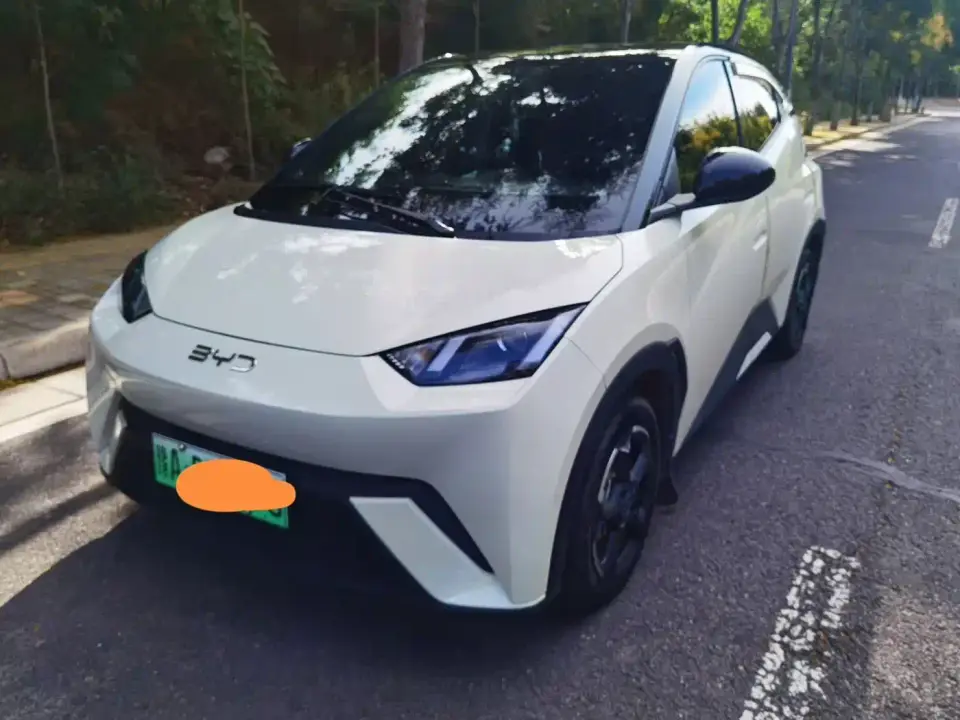 BYD Seagull Smart Drive Edition 305km Vitality Version 2025