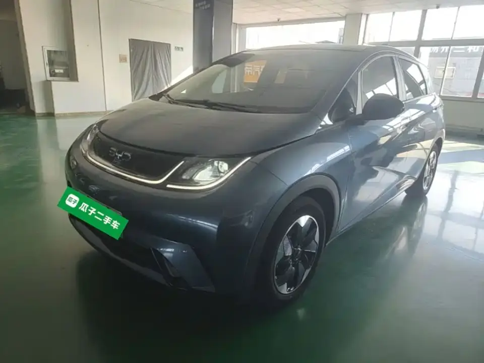 BYD Dolphin Glory Edition 420km Fashion Edition 2024