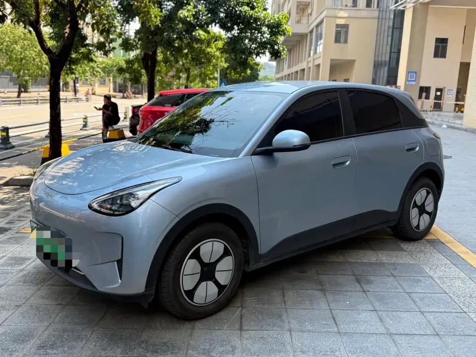 Geely Galaxy Starry Wish 310km Youth Edition 2025