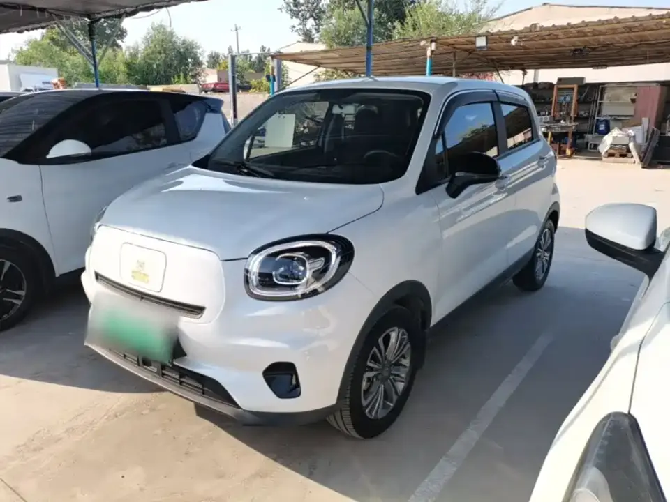 Leapmotor T03 400 Ride-hailing Edition 2021