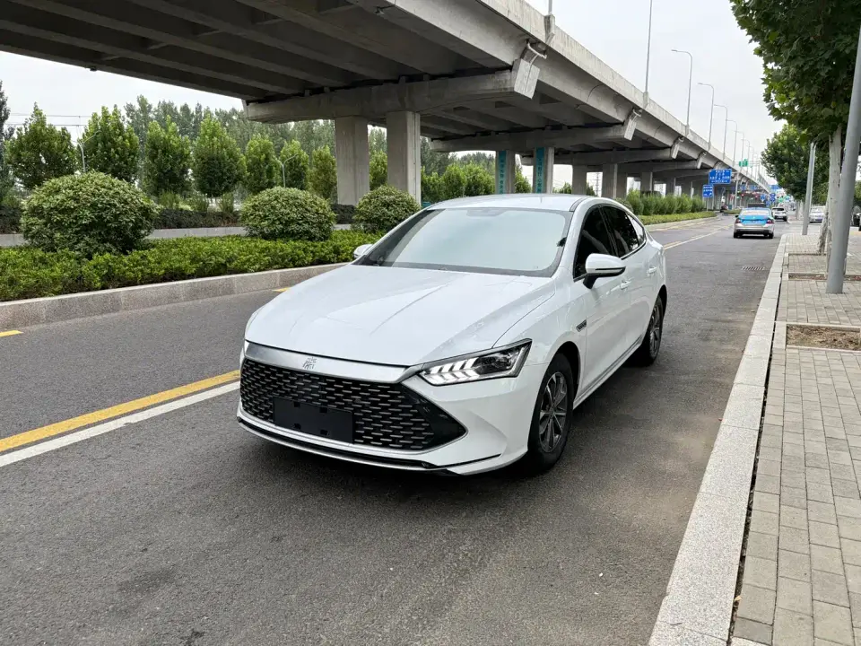 BYD Qin PLUS Champion Edition DM-i 55KM Leading 2024