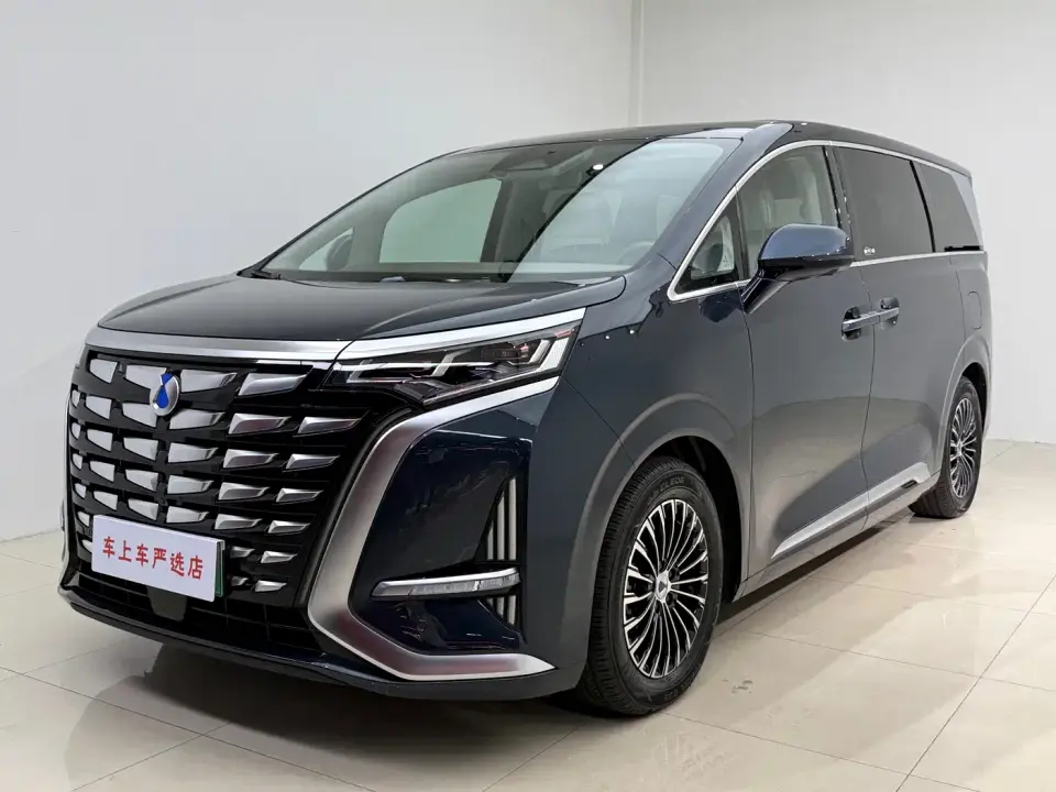 Denza D9 DM-i 1040 Premium 2023