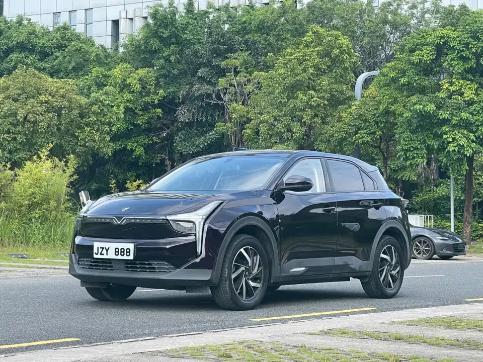 Neta U Pro 400 Cruise Edition 2021