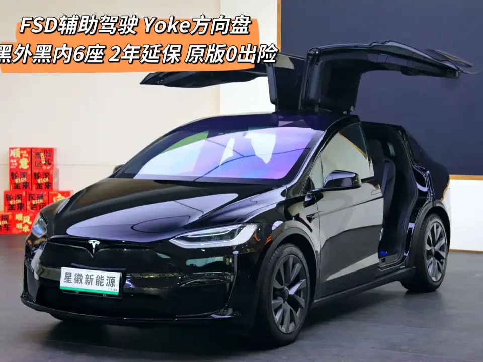 Tesla Model X Dual Motor All-Wheel Drive Edition 2023