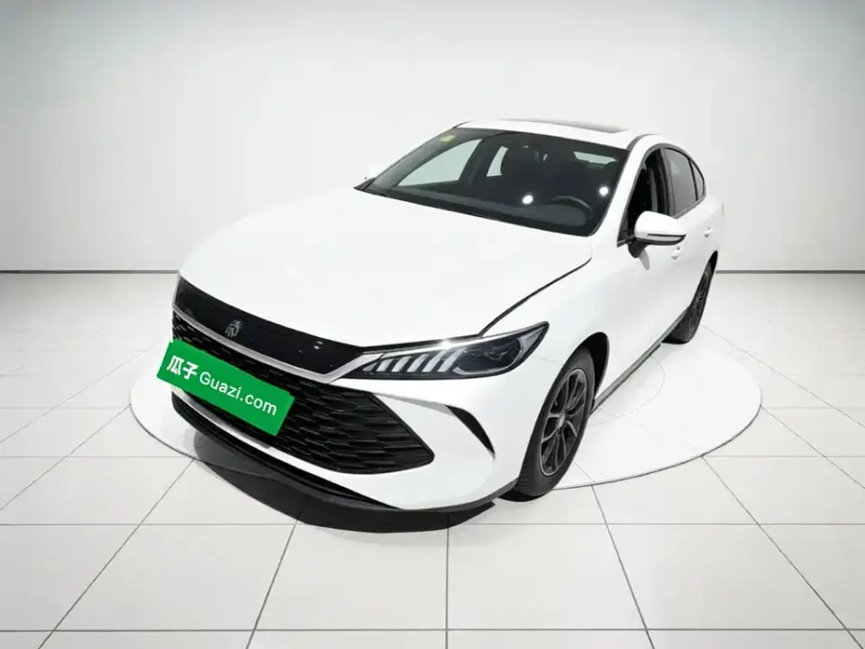 BYD Qin PLUS DM-i Smart Drive 55KM Leader 2025