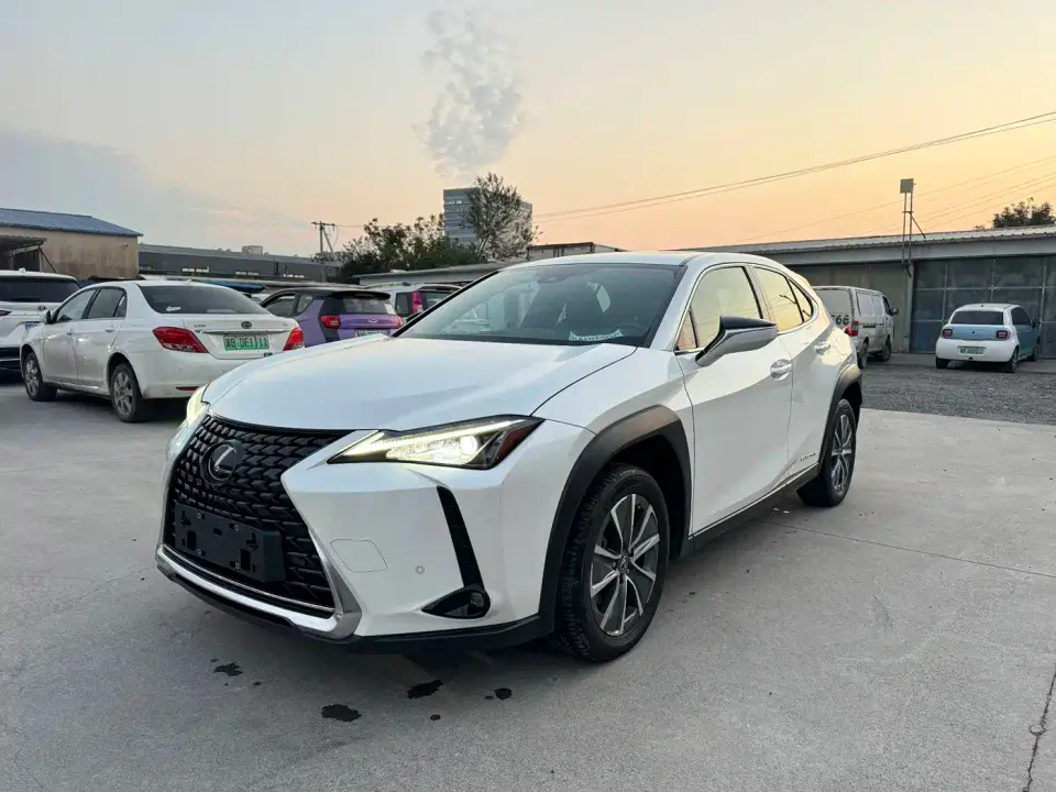 Lexus UX Electric 300e Pure Yue Edition 2022