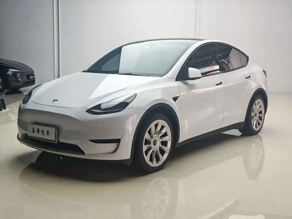 Tesla Model Y Rear-Wheel Drive Version 2022