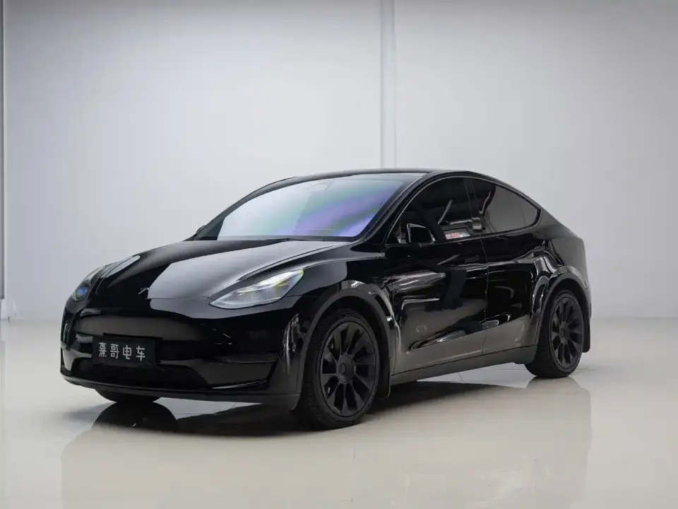 Tesla Model Y Long Range AWD 2022