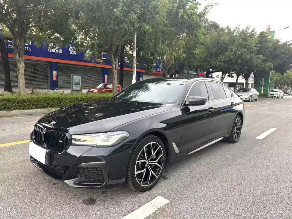 BMW 5 Series 525Li Luxury Package 2019