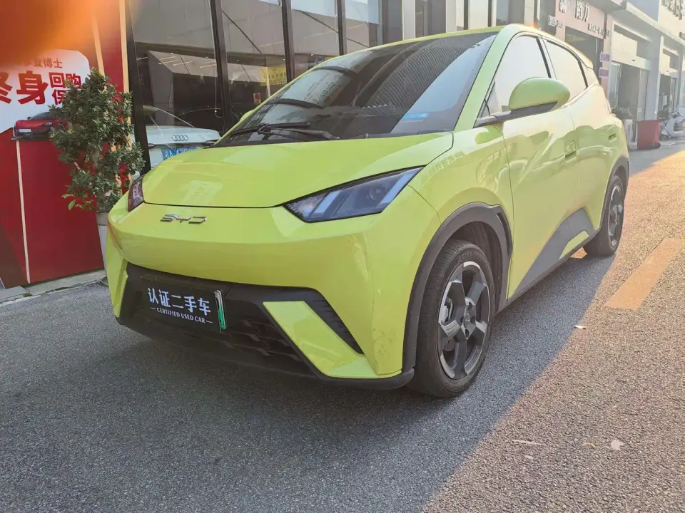 BYD Seagull Glory Edition 305km Freedom Edition 2024