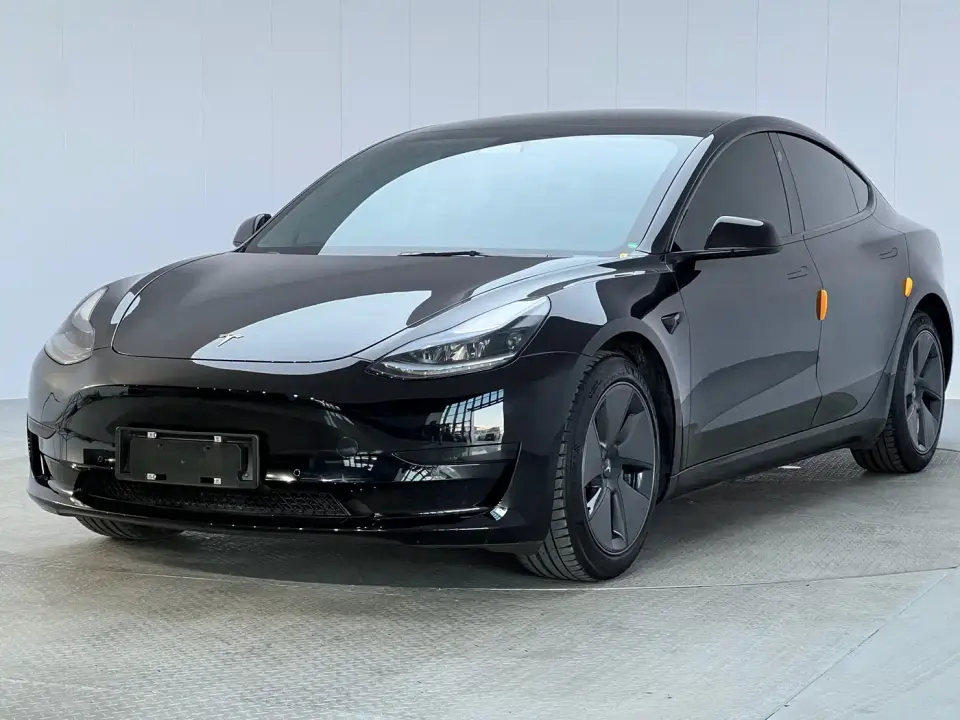 Tesla Model 3 Model Rear-Wheel Drive Version 2022