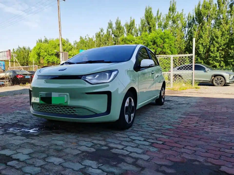 Sehol Flower Fairy Anniversary 301km Four-Leaf Clover 36kW 2023