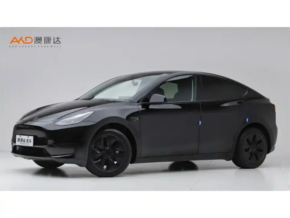 Tesla Model Y Rear-Wheel Drive Edition 2023