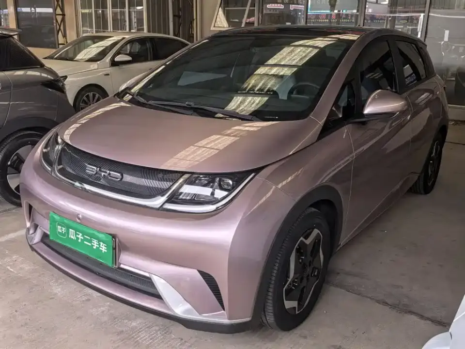 BYD Dolphin Model 405km Fashion Edition 2022