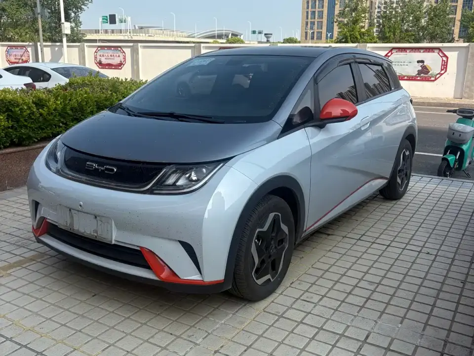 BYD Dolphin Model 405km Fashion Edition 2022