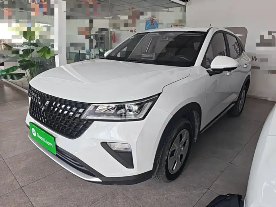 Wuling Motors Wuling Xingchi 1.5L Manual Freedom Edition 2024