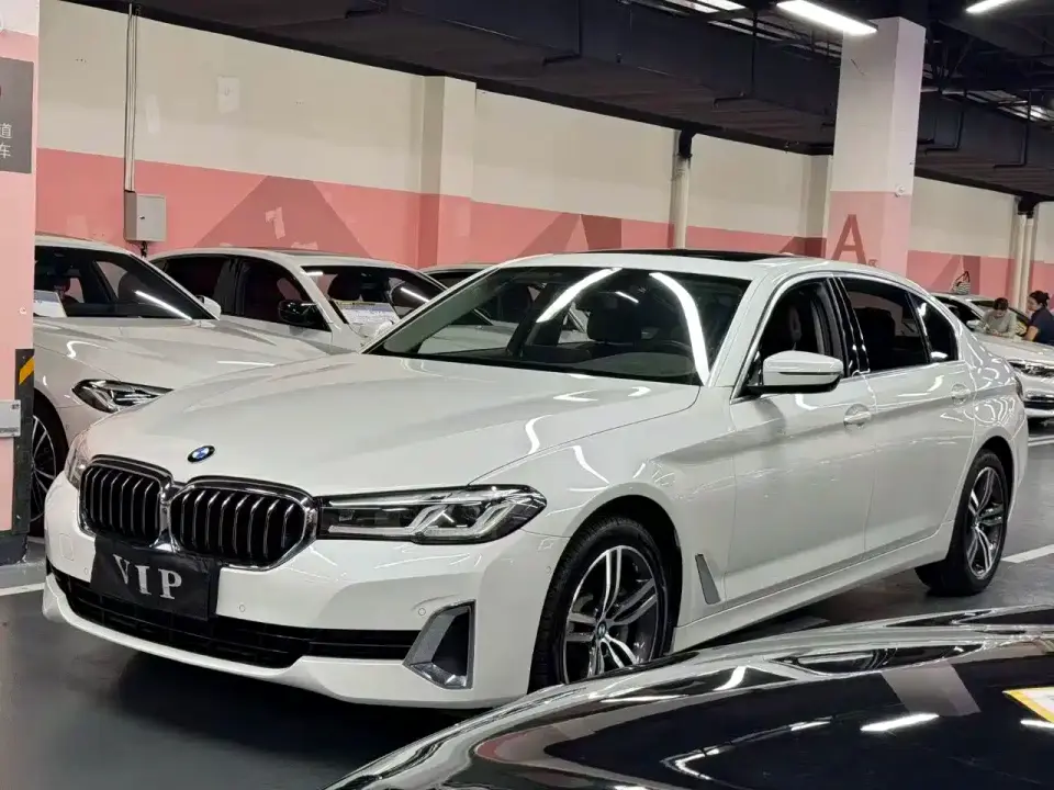 BMW 5 Series 530Li Leading Luxury Package 2021