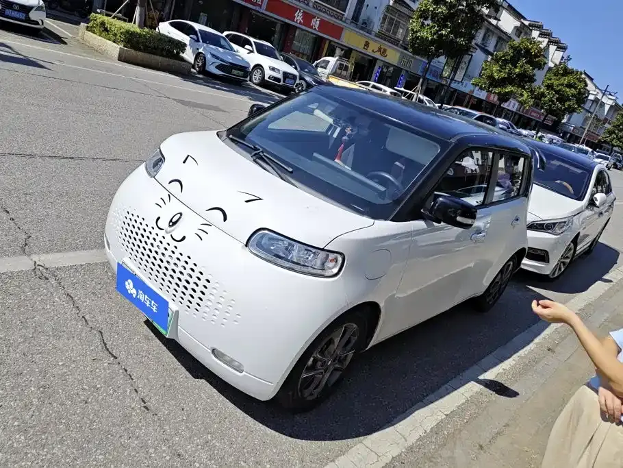 ORA White Cat Upgraded 305km Luxury (NMC) 2021