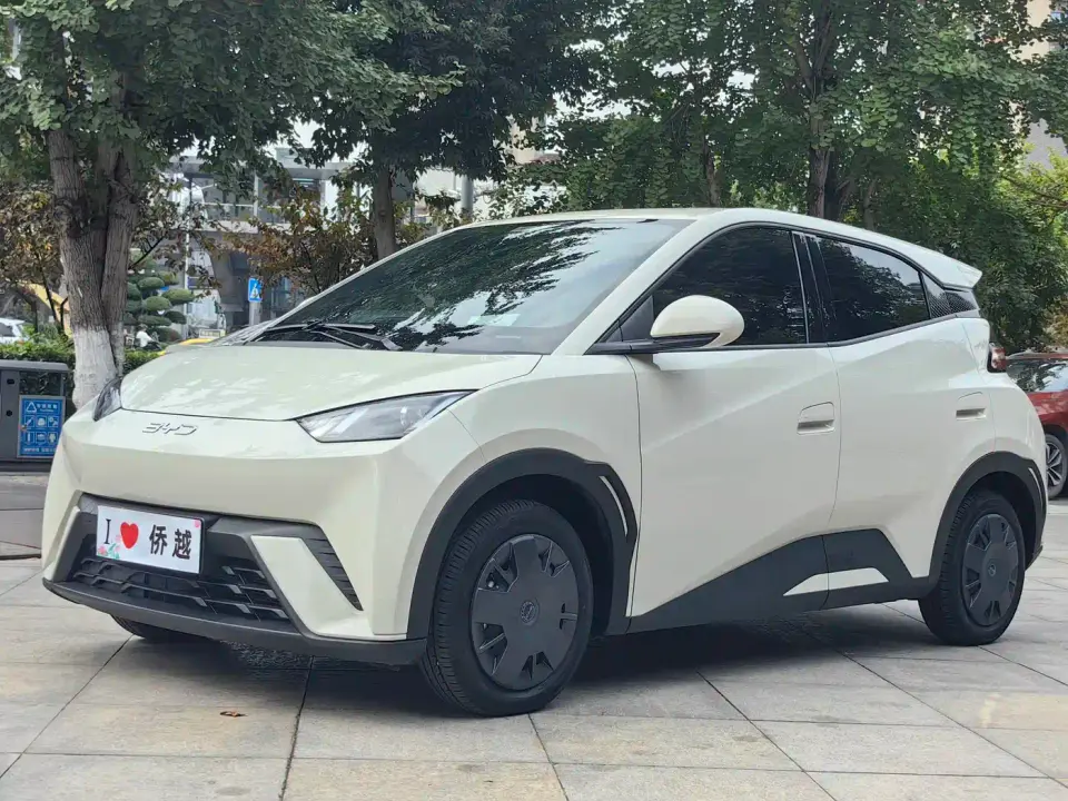 BYD Seagull Glory Edition 305km Vitality Edition 2025