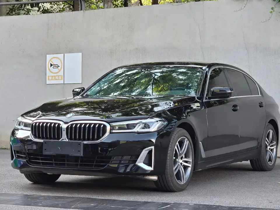 BMW 5 Series 530Li Leading Luxury Package 2021