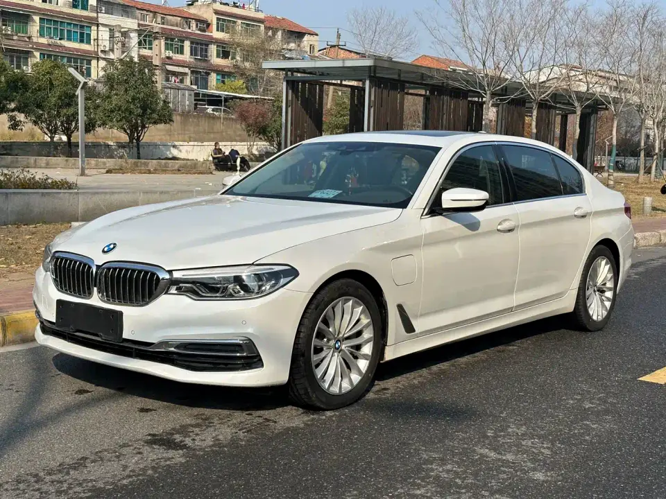 BMW 5 Series New Energy 530Le Luxury Package 2020