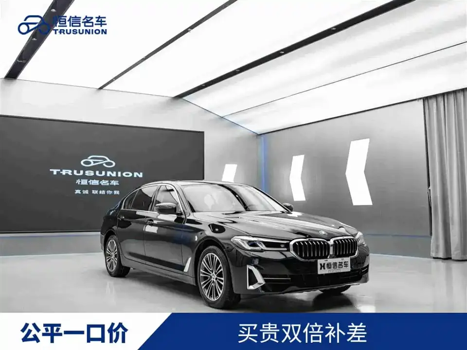 BMW 5 Series 530Li Leading Luxury Package 2021