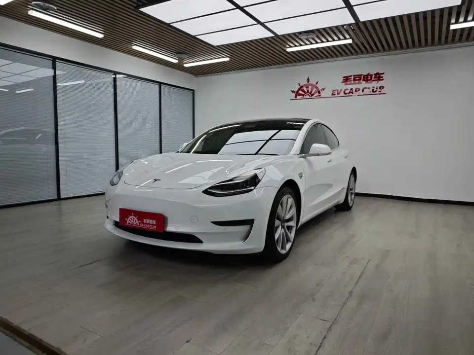 Tesla Model 3 (Import) Long Range RWD Version 2019