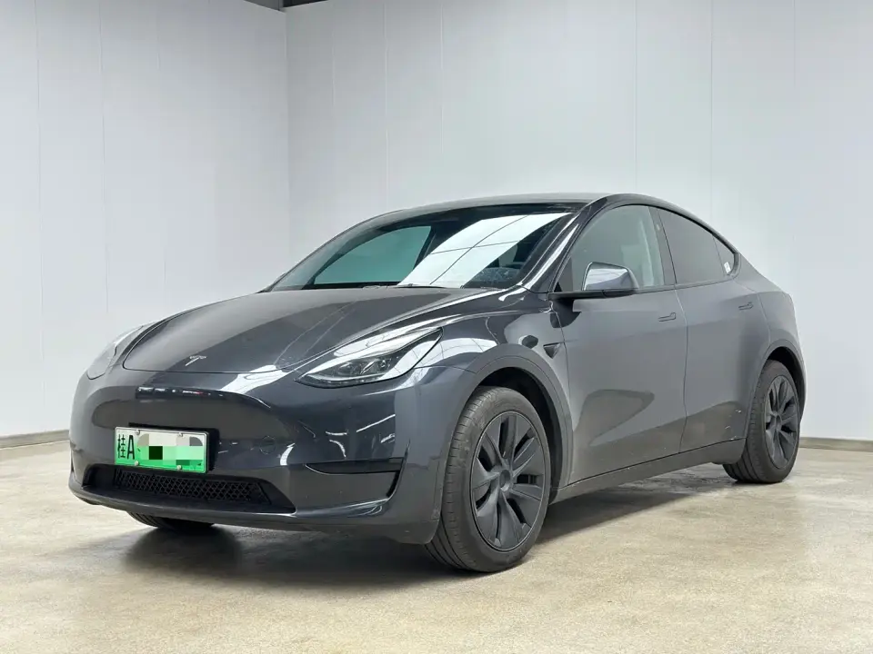 Tesla Model Y Rear-Wheel Drive Version 2024