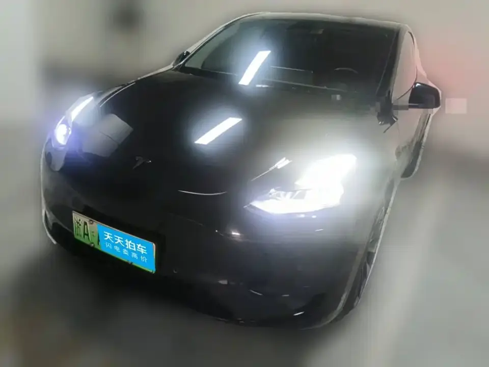 Tesla Model Y Rear-Wheel Drive Version 2022