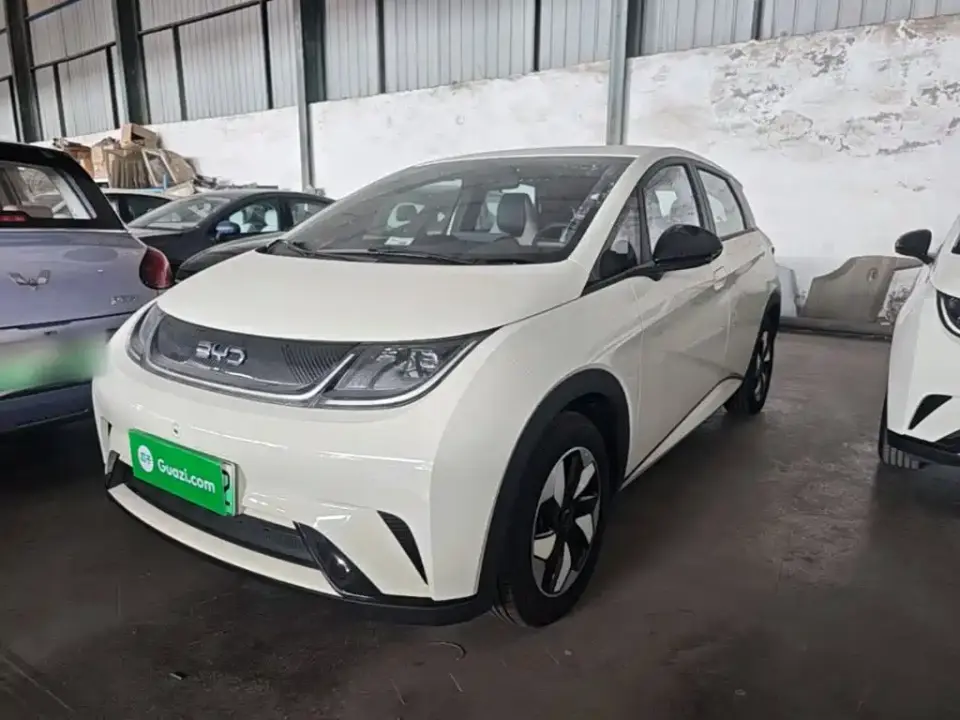 BYD Dolphin 420km Freedom Edition 2026