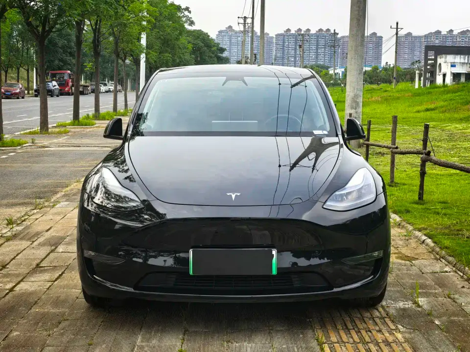 Tesla Model Y Rear-Wheel Drive Version 2022