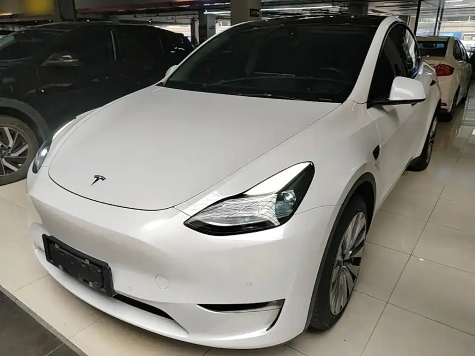 Tesla Model Y Standard Range Rear-Wheel Drive 2021