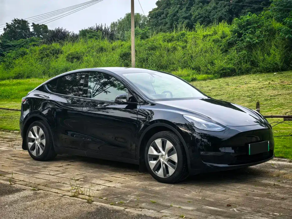 Tesla Model Y Standard Range Rear-Wheel Drive 2021