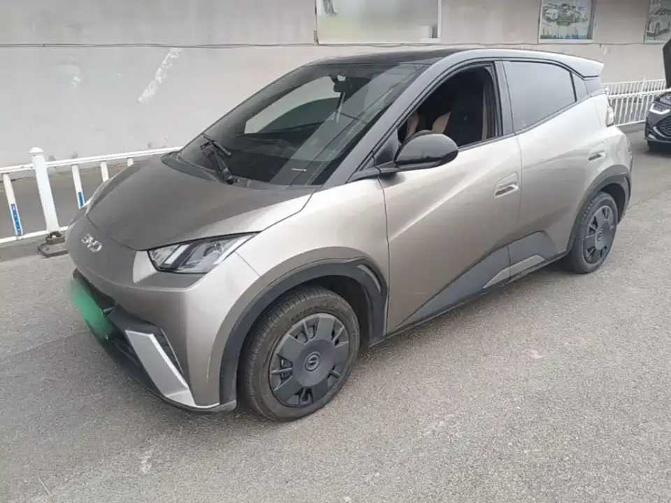 BYD Seagull 305km Vitality 2024