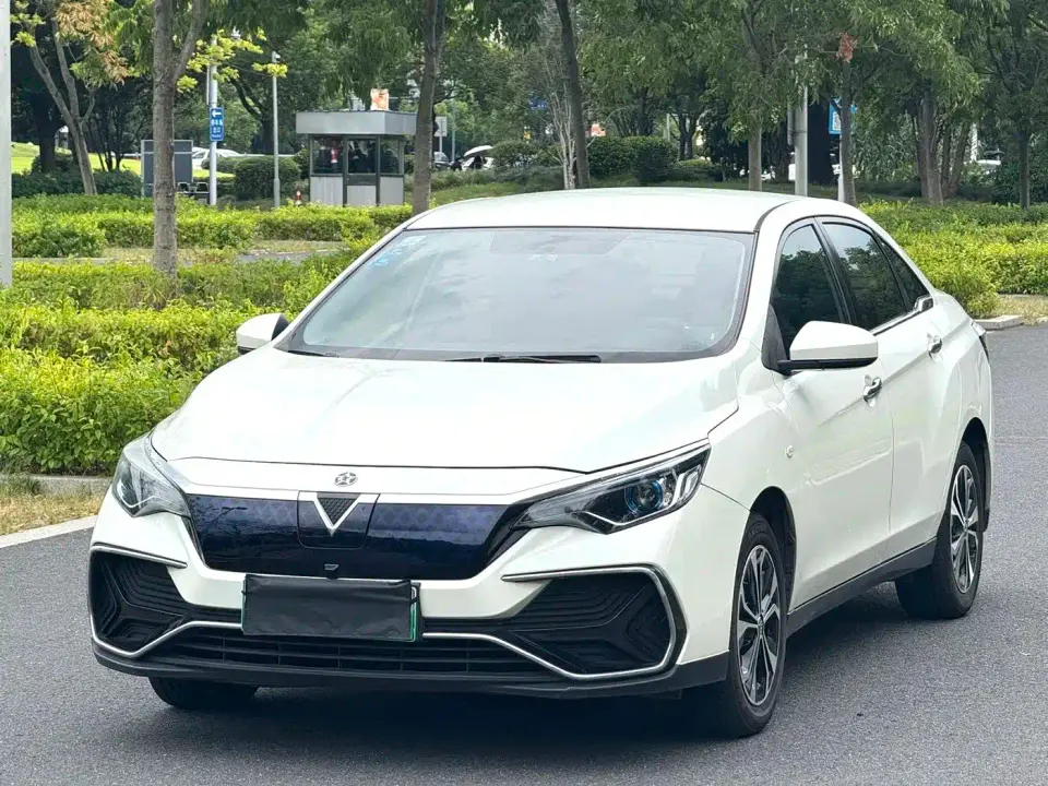 Venucia D60EV Standard Range Premium Edition 2022